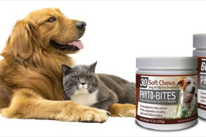 Best CBD Pet Treats For Anxiety | CBD Soft Chews For Dogs And Cats